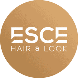 cropped ESCE logo. 400px 1